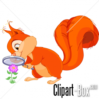 Funny Squirrel Clipart Clipart Best Clipart Best