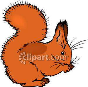 Funny Squirrel Clipart   Clipart Panda   Free Clipart Images