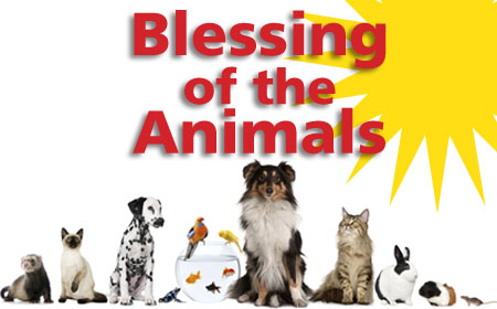 Blessing Of The Animals   Faith Presbyterian Church   Indianapolis