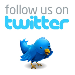 Follow Us On Twitter Bird   Free Images At Clker Com   Vector Clip Art