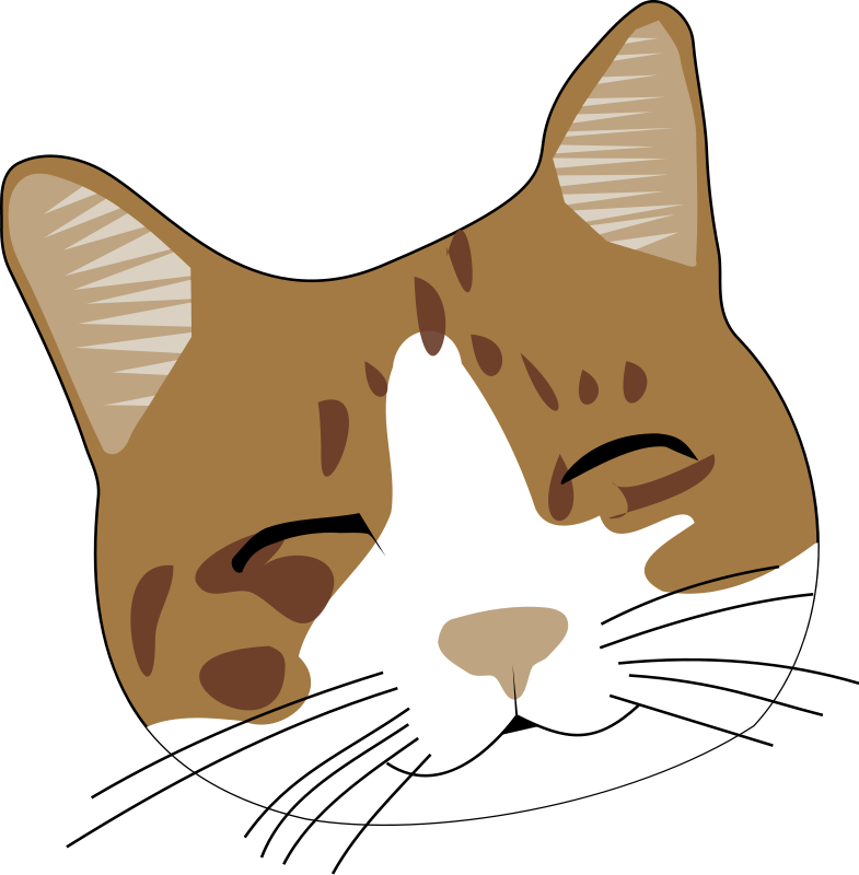 Free Cliparts  Smiling Cat Clipart