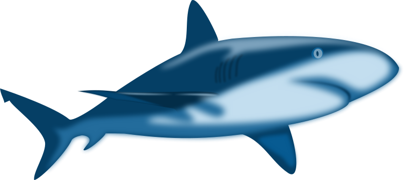 Free To Use   Public Domain Shark Clip Art