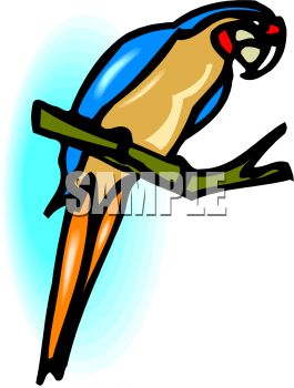 Parrot On A Perch   Royalty Free Clip Art Picture