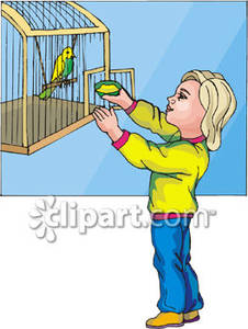 Pet Bird Clipart A Child Putting Food In A Bird