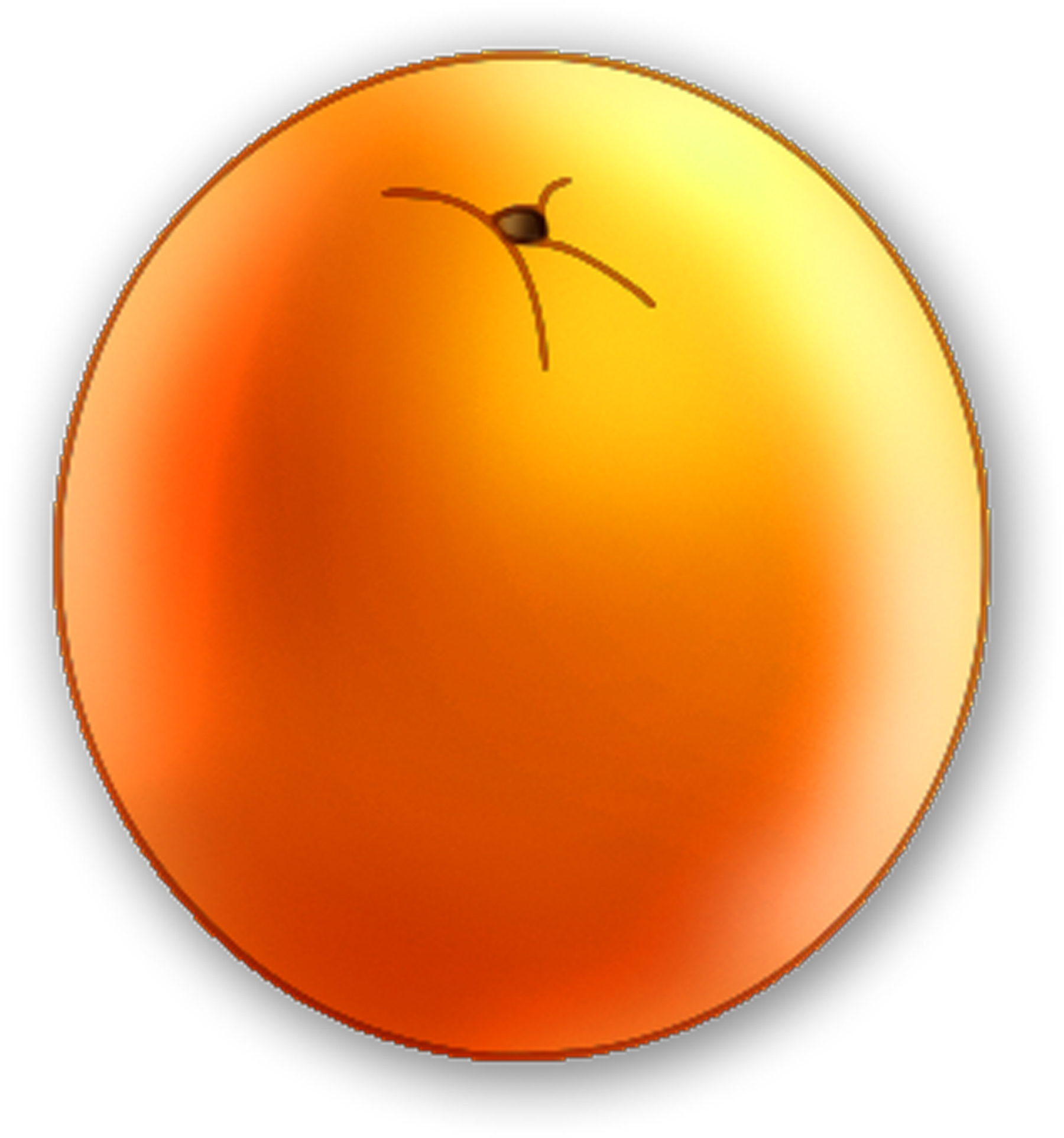 Apricot Fruit Clipart
