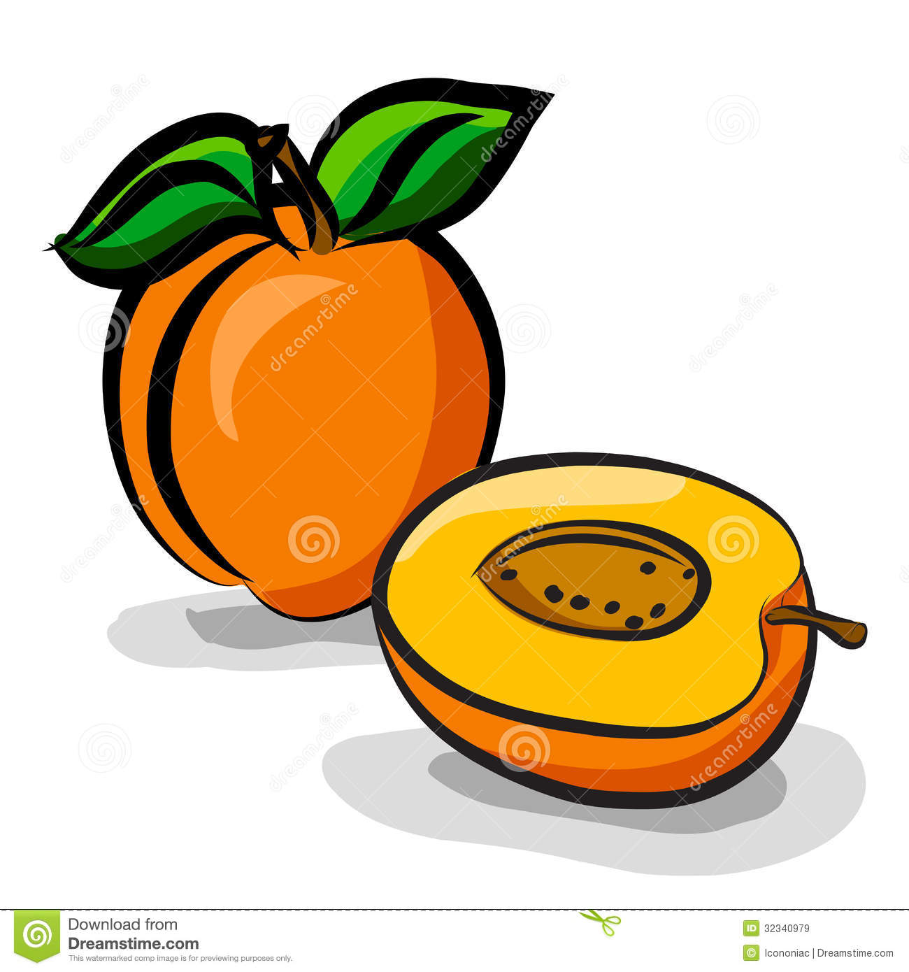 Apricots Clipart Apricot Clip Art Apricot