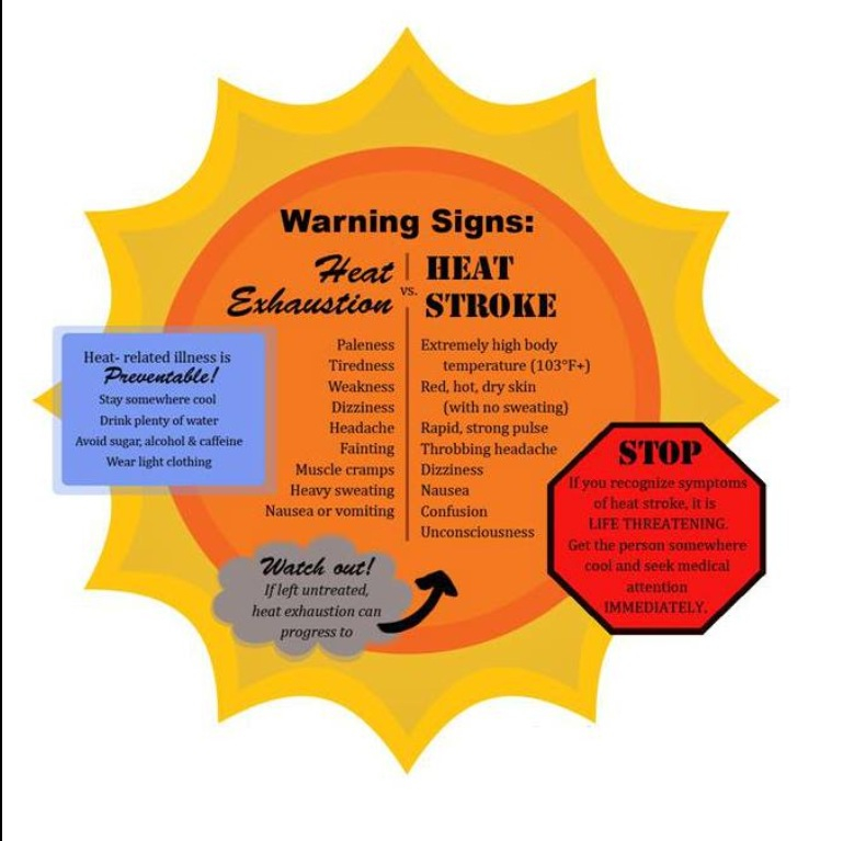 Heat Stroke Vs Heat Exhaustion Clipart