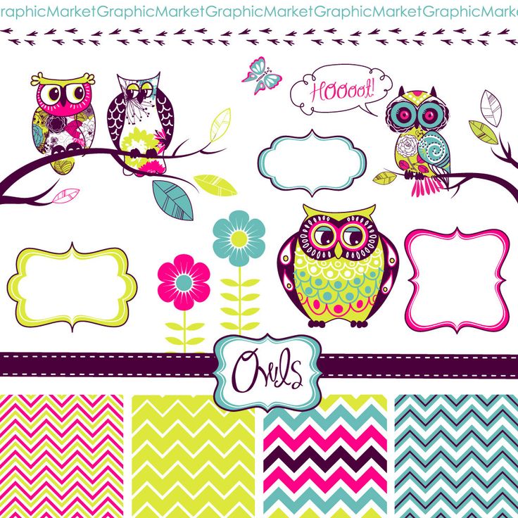 Owls Digital Clipart And Zig Zag Paper Pack   Clip Art For