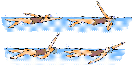 Sports   Tx  Swimming   Backstroke Keys  Part 1