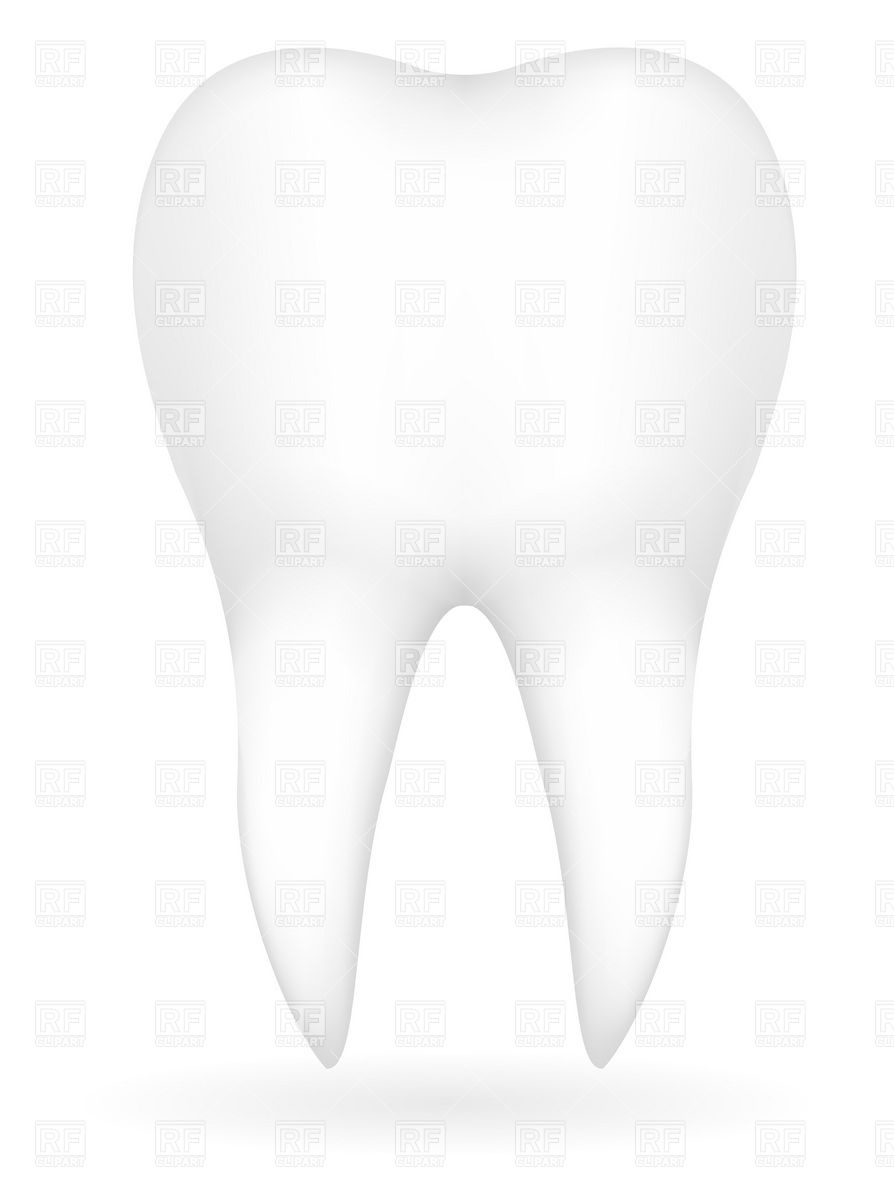 Tooth  Molar  19878 Healthcare Medical Download Royalty Free