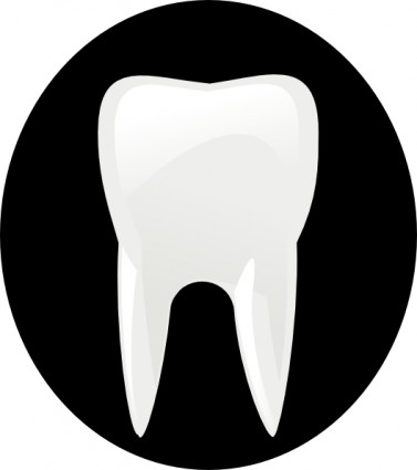 Tooth Molar