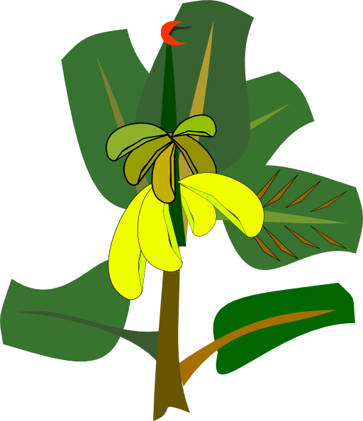 Banana Tree Cartoon Variable Psi Airbrush Tattoos Cannot Postairbrush    