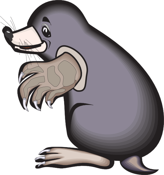 Cartoon Mole Clip Art At Clker Com   Vector Clip Art Online Royalty