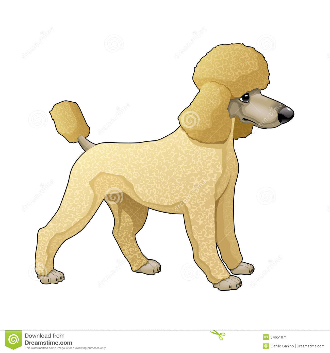 Free Clipart Poodle Google