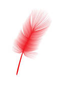 Red Feather Clipart Red Feather Isolated On White