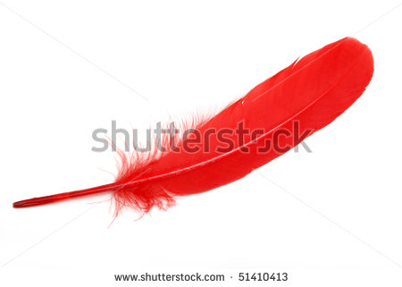 Red Feather Clipart Red Feather   Stock Photo