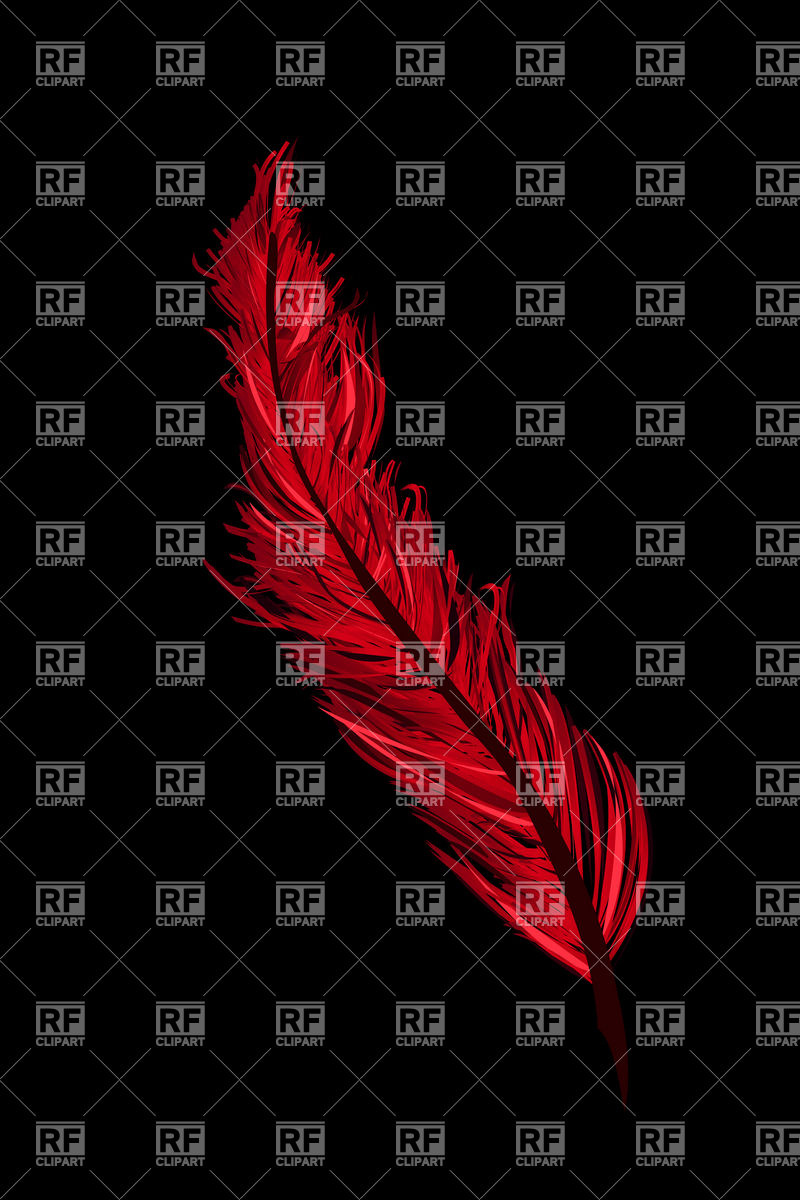 Red Wavy Feather 12592 Download Royalty Free Vector Clipart  Eps