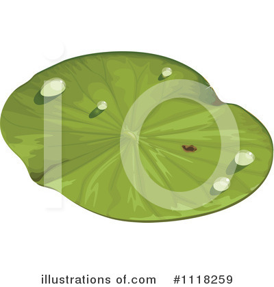Royalty Free  Rf  Lily Pad Clipart Illustration By Colematt   Stock
