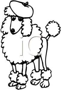 Black And White Poodle Wearing A Beret   Royalty Free Clipart Picture