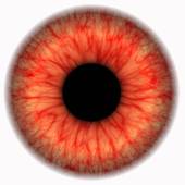 Red Iris Eyes Abstract Eye With Red Threads