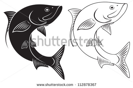 Tuna Fishing Stock Photos Images   Pictures   Shutterstock