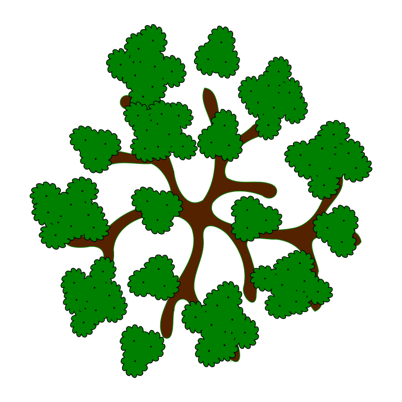 Types Of Tree Clipart Top View   Google Search