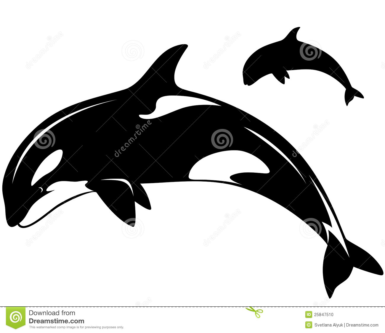 Cute Killer Whale Clip Art Killer Whale Vector Stock
