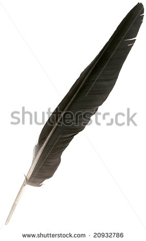 Eagle Feather Vector Black Eagle Feather Isolated