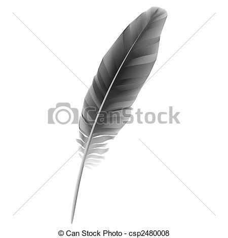 Eagle Feather Vector Black Feather Stock