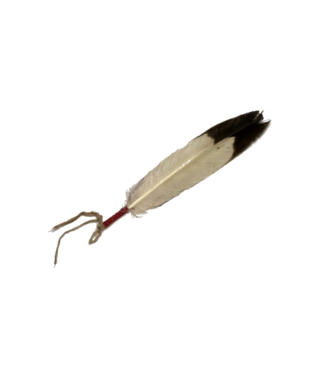 Eagle Feather Vector We Are Chosen