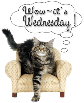 Http   Www Pictures88 Com Wednesday Wow Its Wednesday