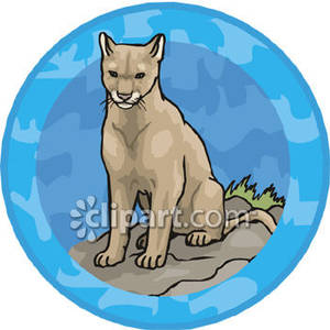 Mountain Lion On A Blue Background   Royalty Free Clipart Picture
