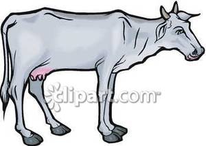 Skinny Cow Cartoon Clipart   Free Clipart