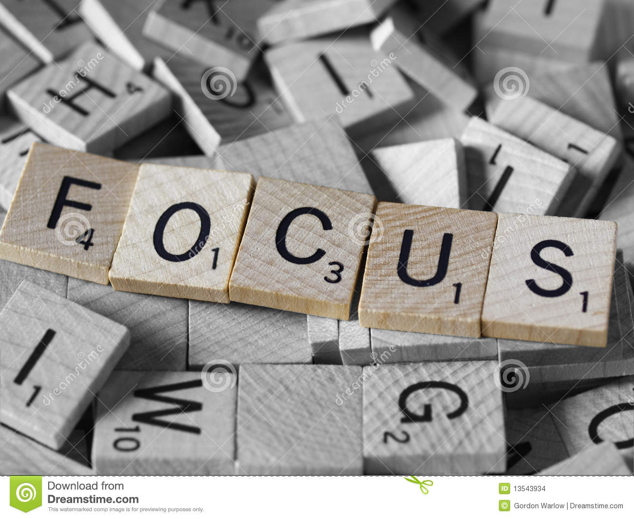 Stay Focused Stock Images   Image  13543934