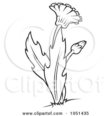 Art Illustration Outline Dandelion Weed And Flower Dero