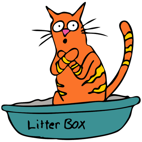 Outside The Litter Box  It S Also One Of The Most Common Reasons Why