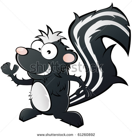 Skunk Stock Photos Illustrations And Vector Art
