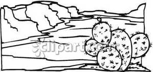Black And White Cactus In The Desert   Royalty Free Clipart Picture