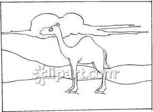 Black And White Camel In The Desert   Royalty Free Clipart Picture
