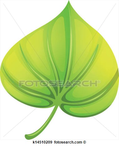 Clip Art   A Heart Shaped Leaf   Fotosearch   Search Clipart    