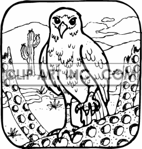 Desert Clipart Black And White Clip Art Of A Hawk On Cactus