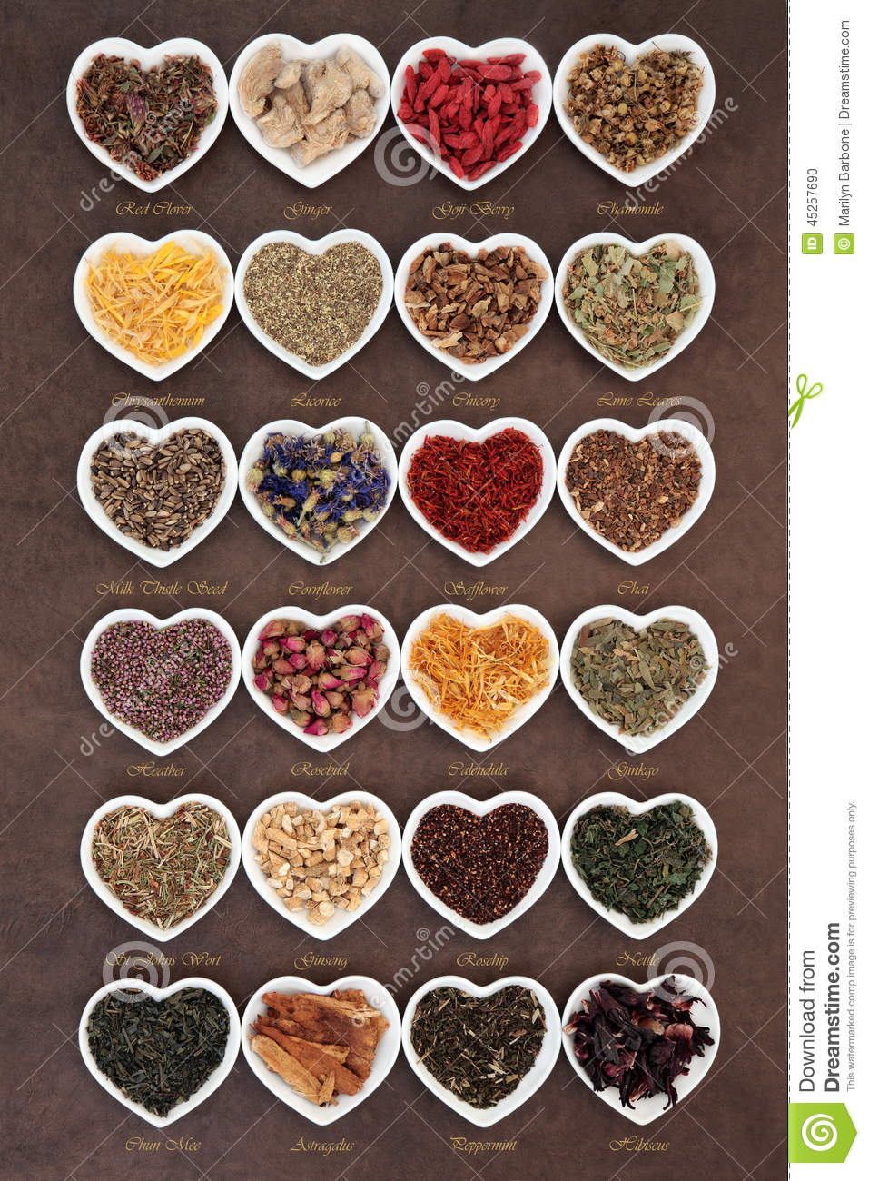 Herbal Tea Selection Stock Photo   Image  45257690
