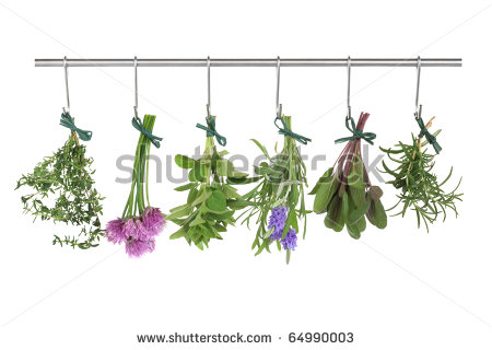Lavender Herb Clipart Herb Leaf And Flower Bunches