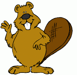 Beaver Cartoon  1