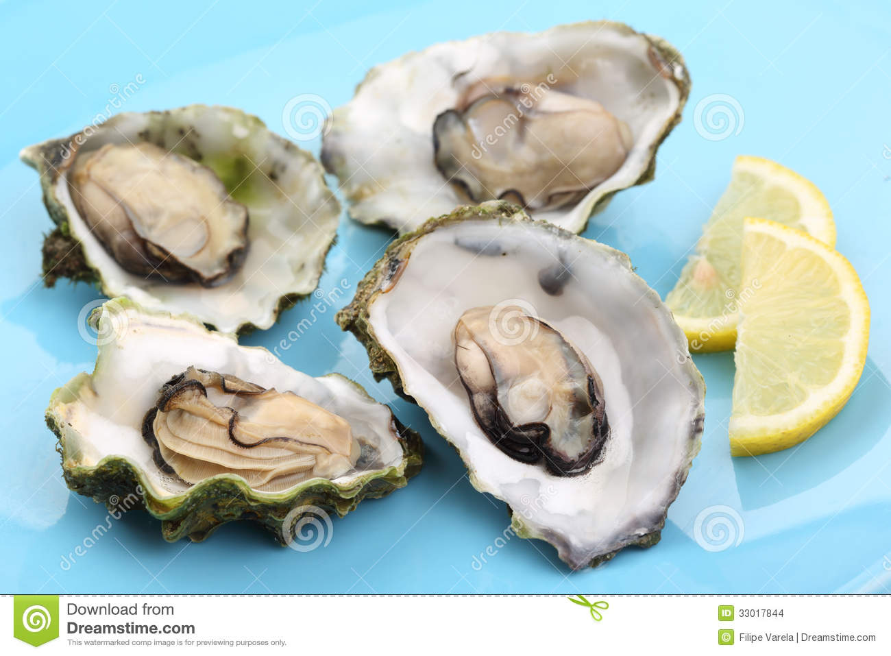Boiled Oysters With Lemon Juice Stock Images   Image  33017844
