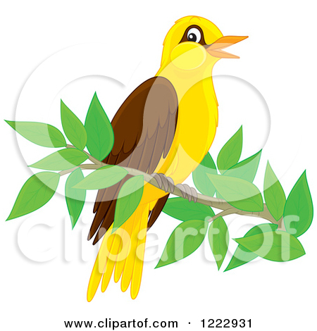 Clipart Of A Cute Oriole Bird Perched On A Branch   Royalty Free