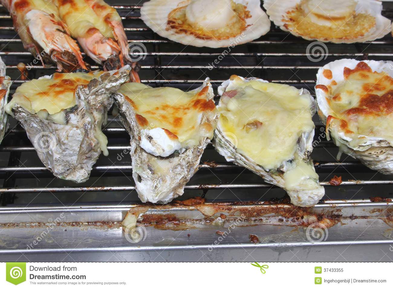 Exclusive Grilled Oysters And Gambas With Cheese Asia Royalty Free    