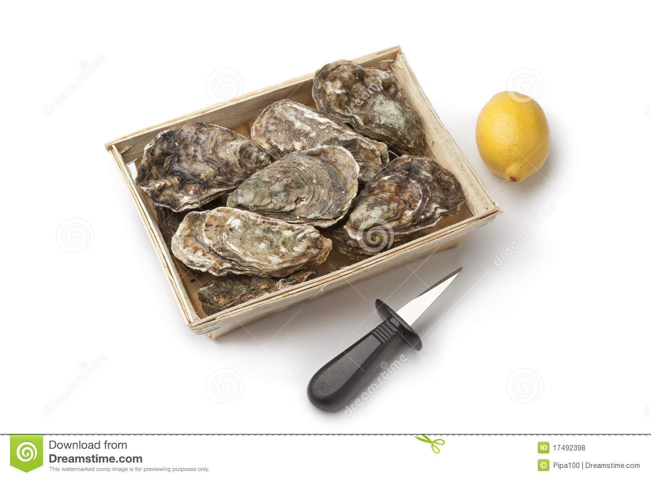 Fresh Raw Oysters In A Box Royalty Free Stock Photos   Image  17492398