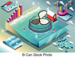 Isometric Infographic Of Breeding Oysters Stock Illustration