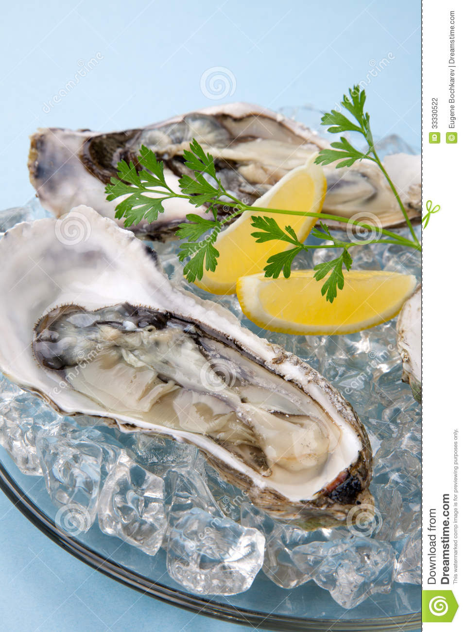 Oysters On Ice Garnished With Lemon And Parsley Over Light Blue